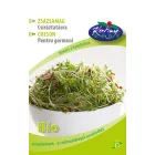 Zsázsa BIO csíráztatni való mag Lepidium sativum 30g