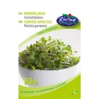 Brokkoli csíráztatni való mag BIO Brassica oleracea italica NAGY Kiszerelés 500g
