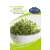 Brokkoli csíráztatni való mag BIO Brassica oleracea italica NAGY Kiszerelés 500g