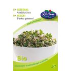 Retek BIO csíráztatni való mag Raphanus sativum 30g