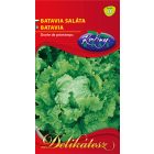 Batávia saláta 2g