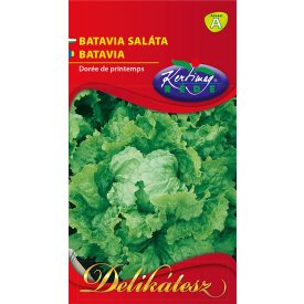 Batávia saláta 2g