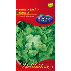 Batávia saláta vetőmag 2g