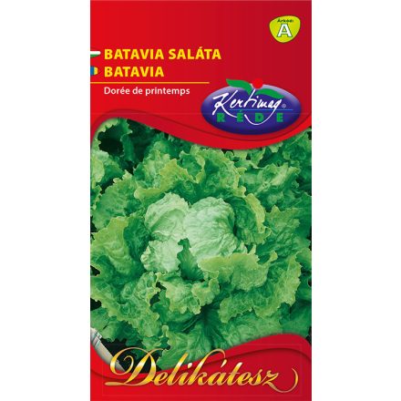 Batávia saláta 2g