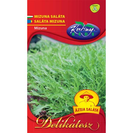 Ázsiai saláta 2g