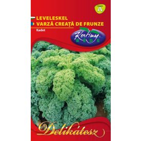 Leveleskel mag Kadet 2g