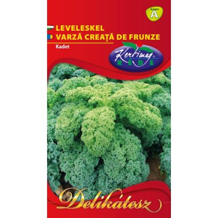 Leveleskel mag Kadet 2g