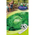 Fejessaláta mag  Lento 3x1,33m