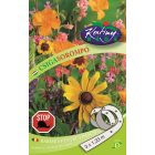 Csigasorompó virágmag keverék vetőszalag