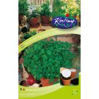 Petrezselyem mag  Simalevelű 2 db/cs.