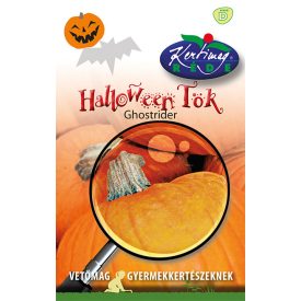 Halloween tök mag  gyerekenek 2g