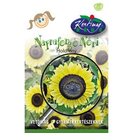 Napraforgó virágmag Nóri Holdfény 3g