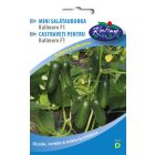 Salátauborka mag  Kalimero Mini F1 baby 10szem