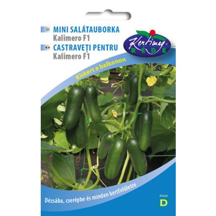Salátauborka mag  Kalimero Mini F1 baby 10szem