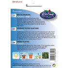 Salátauborka mag  Kalimero Mini F1 baby 10szem