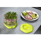 Csíráztató, 3+1 részes, almazöld