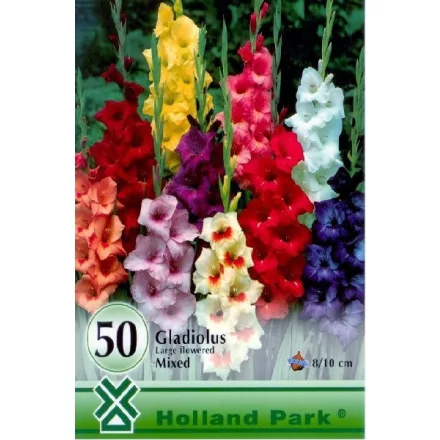 Kardvirág virághagyma, gumó, Gladiolus színkeverék 50db