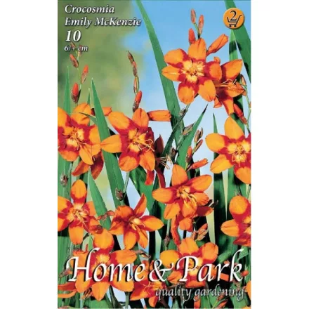 Kerti sáfrányfű virághagyma, gumó, Crocosmia Emily Mc'Kenzie