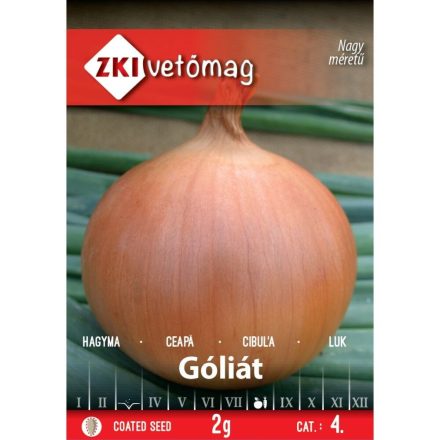 Vöröshagyma mag  Góliát 2g