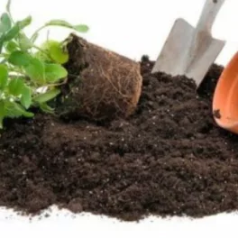 Virágföld